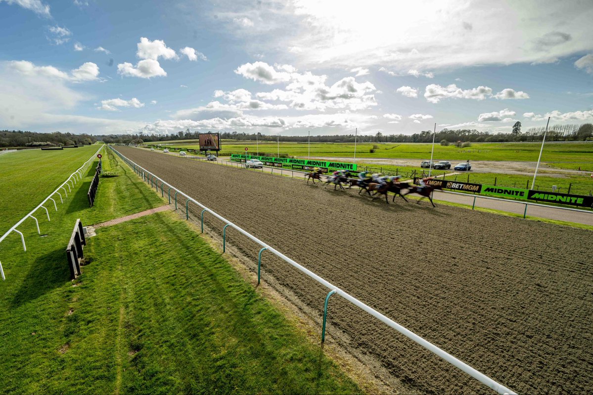 Lingfield Park tweet media