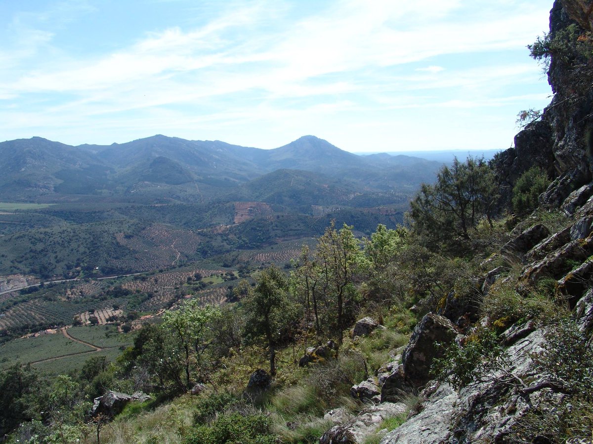 ADS Valle de Alcudia tweet media