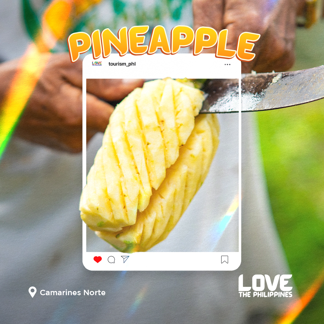 TourismPHL's tweet photo. Bicolano delicacies are as diverse as their provinces. Each one offers a distinct flavor worth trying. Whether you love spicy, sweet, or savory, Bicol has something for you! 🌶️❤️
#DOTPhilippines #LoveThePhilippines #TravelPH https://t.co/A1gxPNnyty