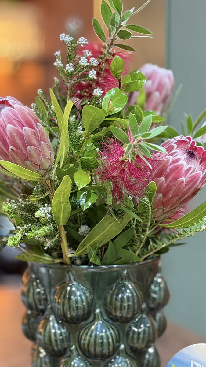 Melanie vd Merwe tweet media