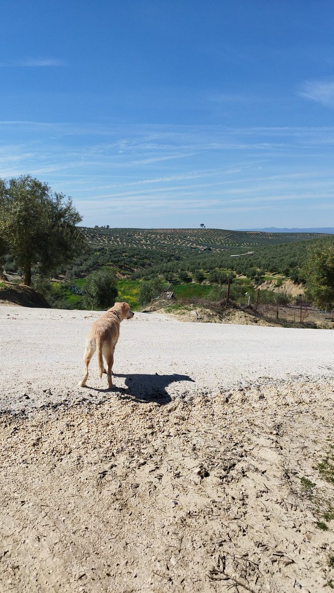 Pedro Expósito tweet media
