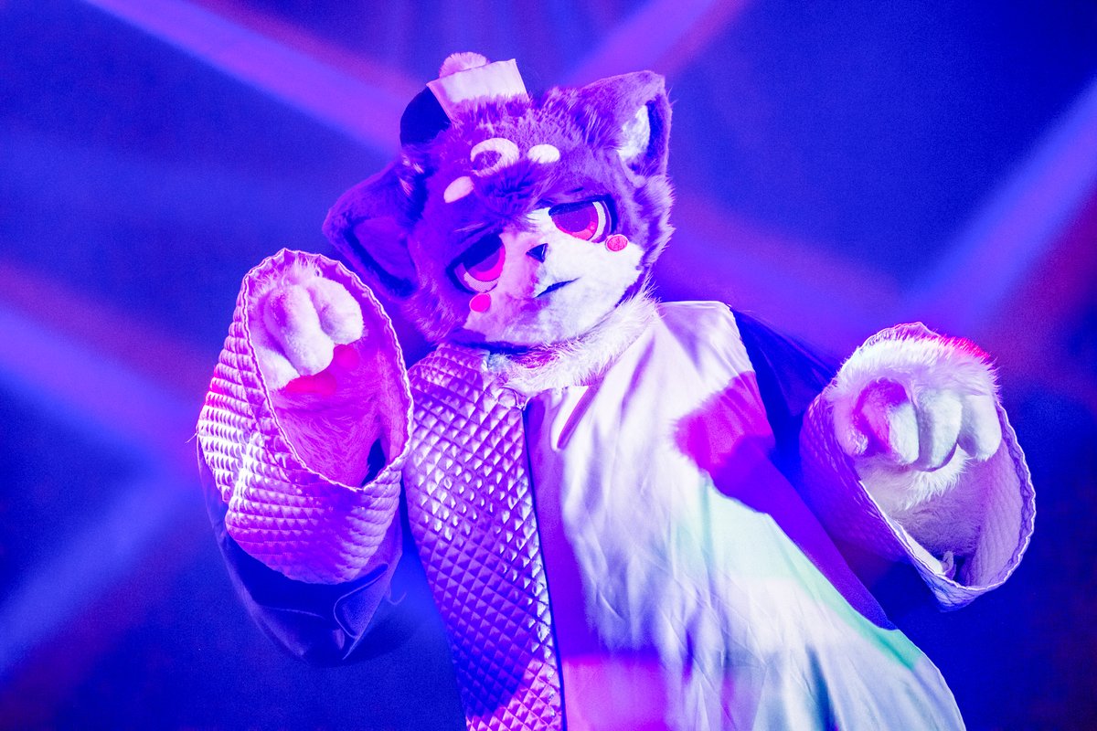 ルチード・ドルソニャ🌙🐾 tweet media