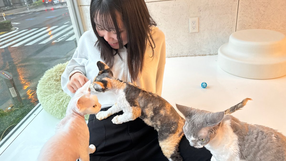 あやな(露光時間) tweet media