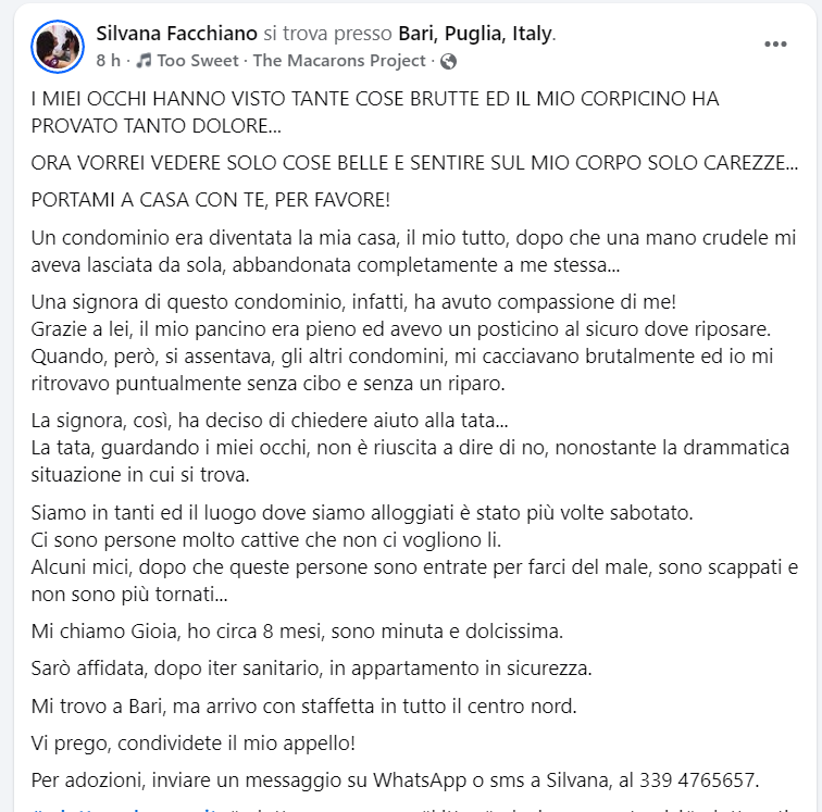 Qua la Zampa tweet media