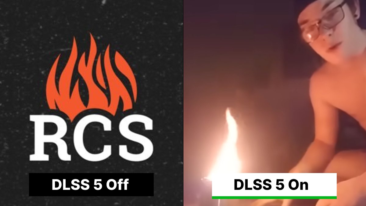 Jungle Squad tweet media