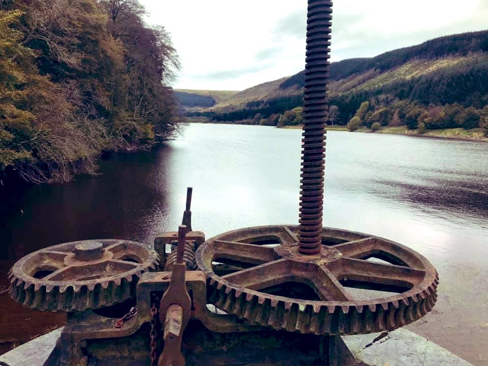 fat girl walking tweet media