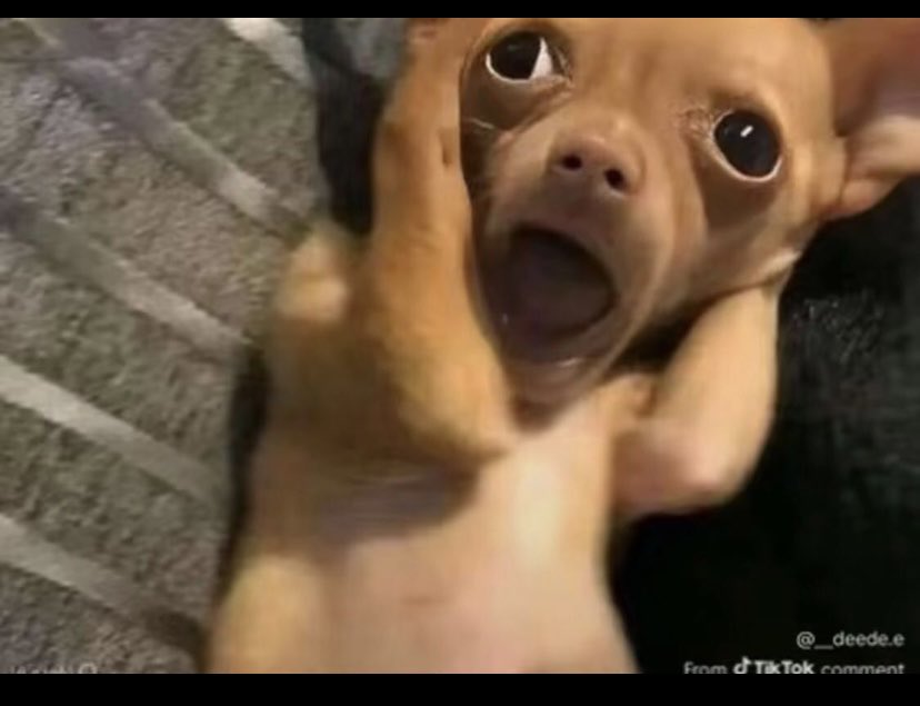 Lucy Amoakoh tweet media