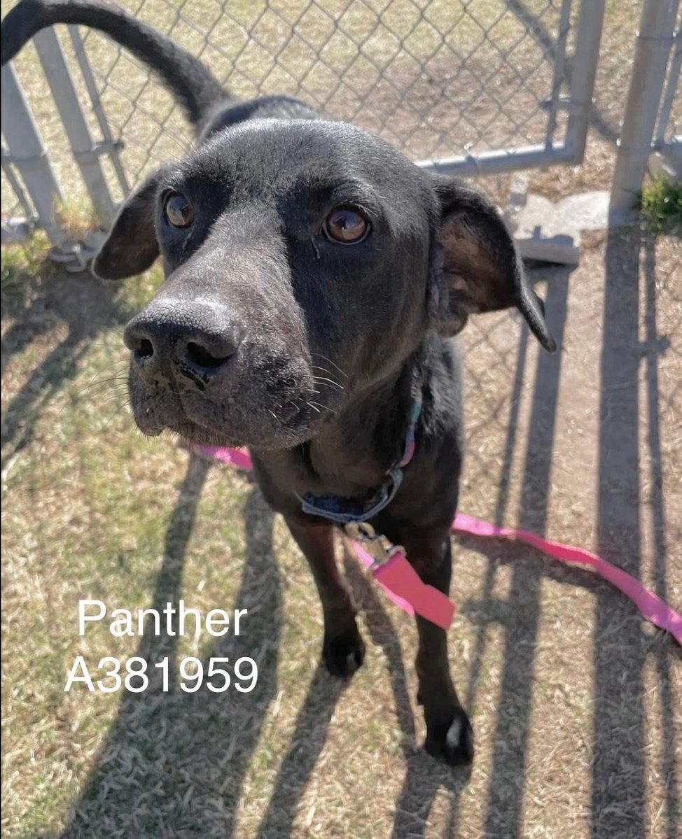 Lisa Brabson. tweet media