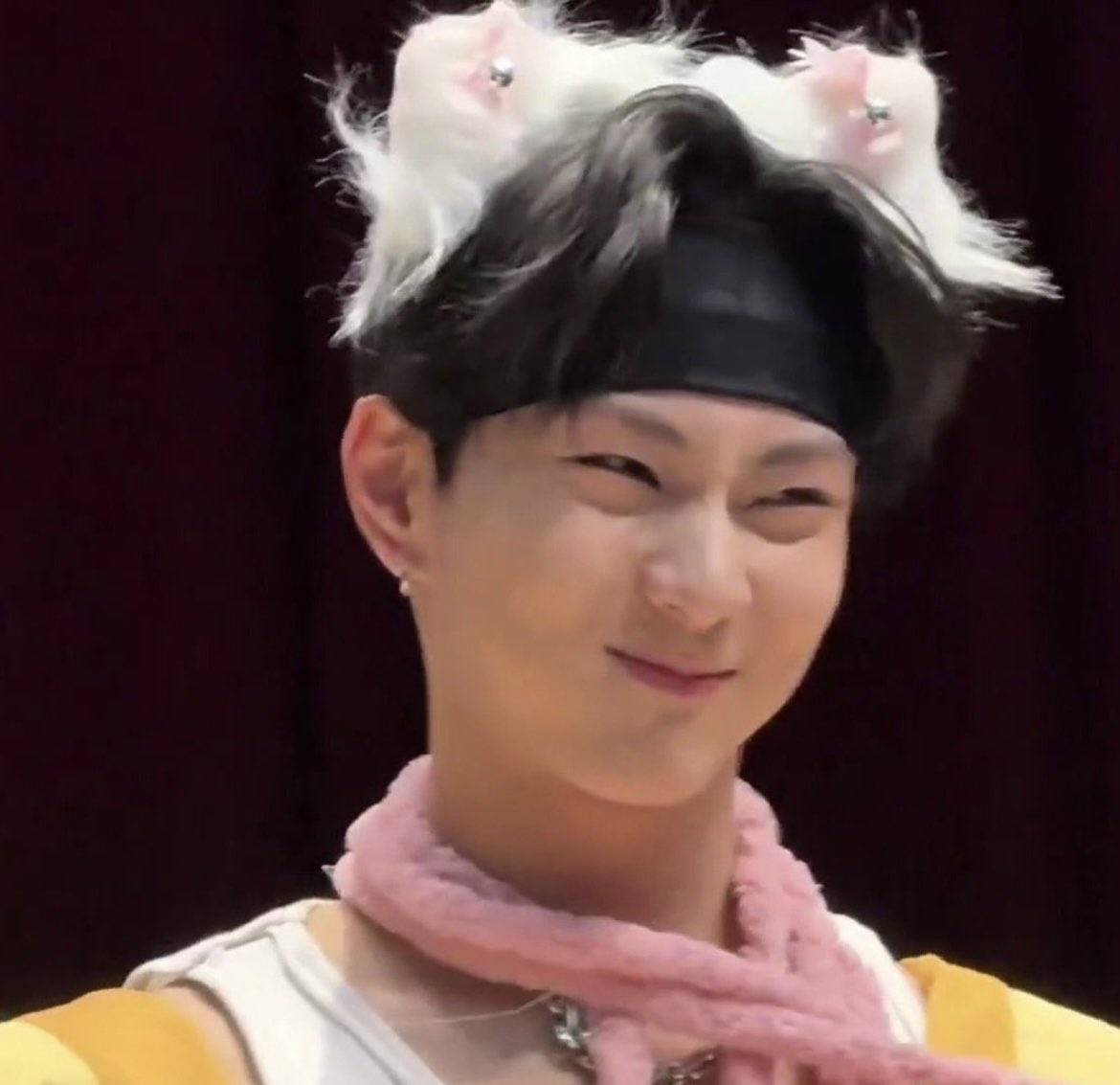 maxine 𓆩♡𓆪 tweet media