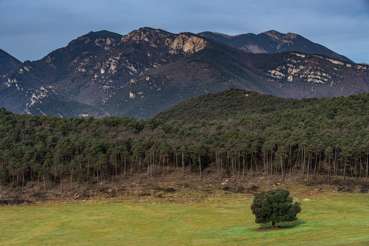 Casal Panxo tweet media
