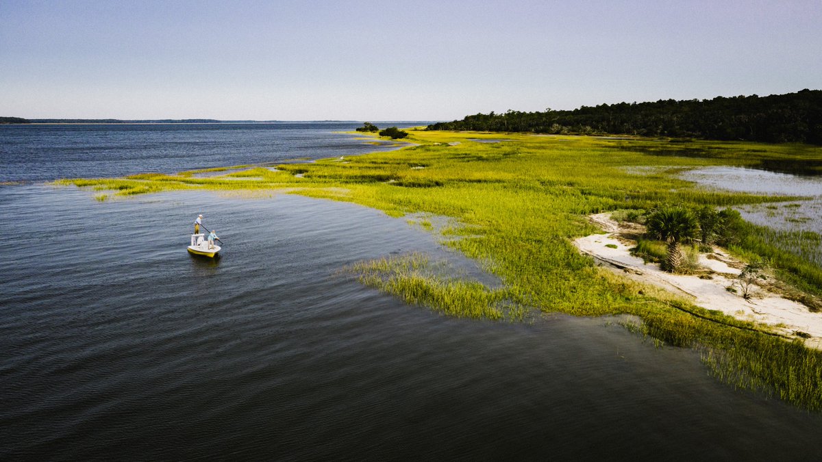 The Land Report tweet media