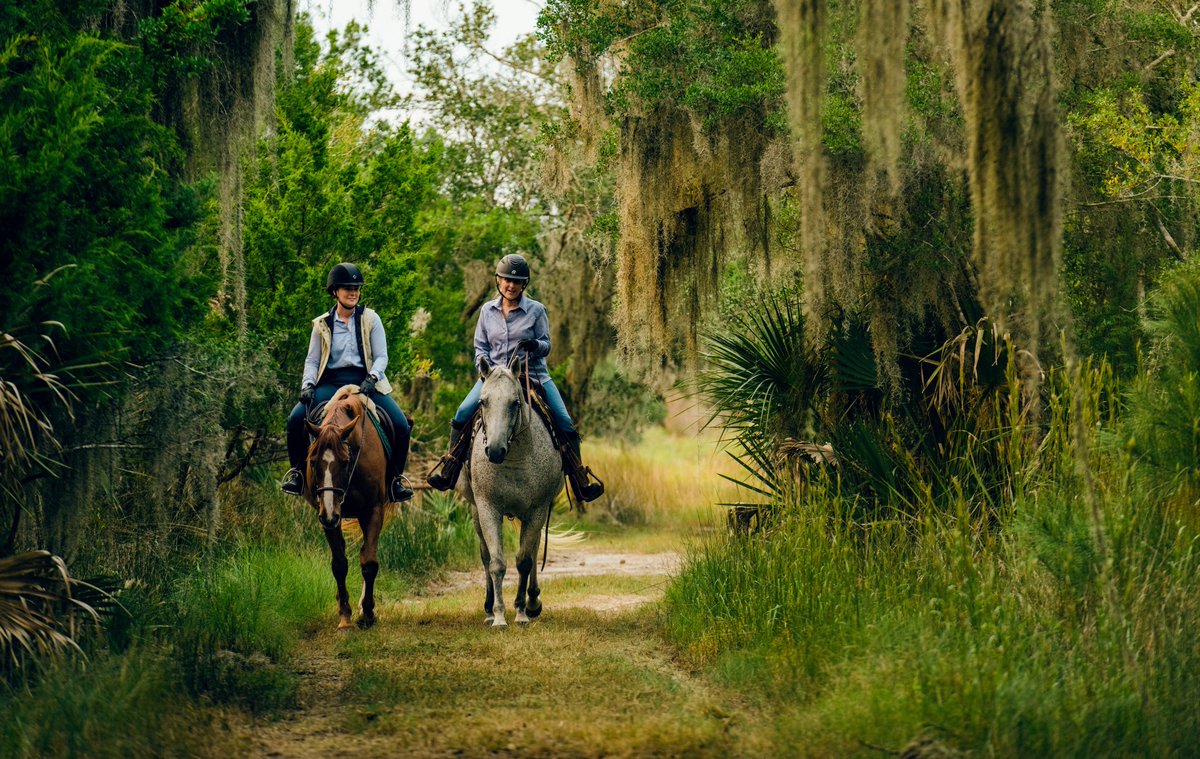 The Land Report tweet media