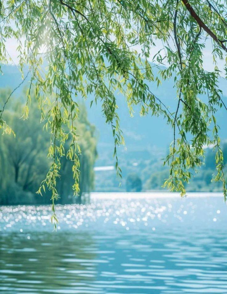 Aesthetics tweet media