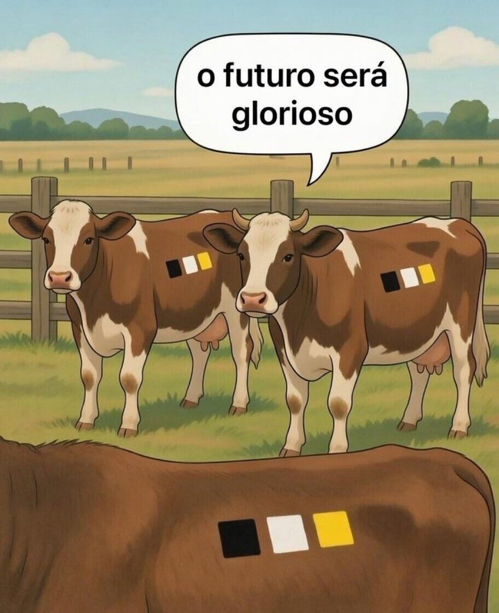 Danilo Gameplay Br tweet media