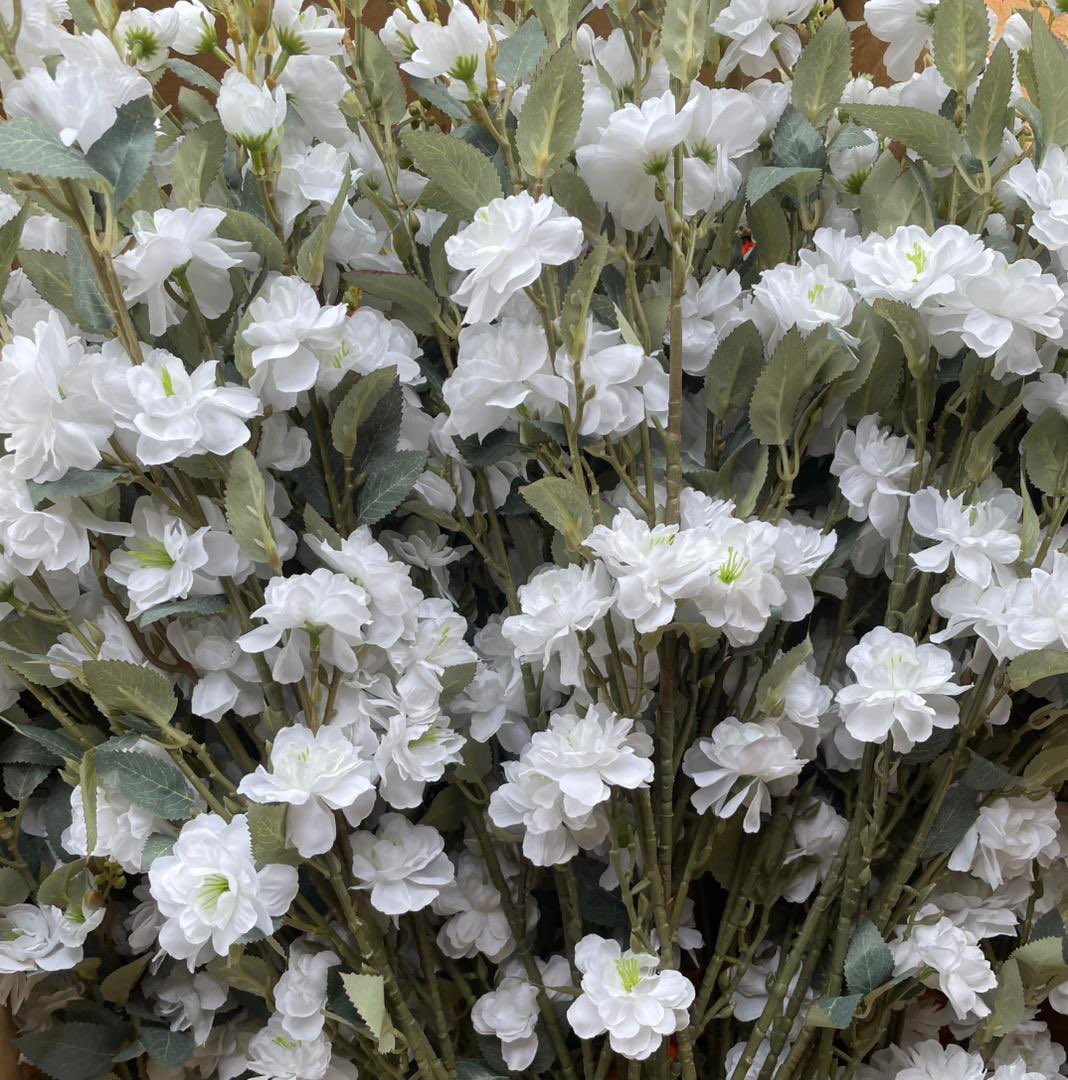 YelamFoodMart's tweet image. Camellia Long-stem beauties are in 💜🌸✨
Ready for immediate pickup
Perfect for luxury setups 

🏷️ N2,000 DM to order yours now 🔔
#Decorators #Lagos #Ibadan #Eventdecor #flower