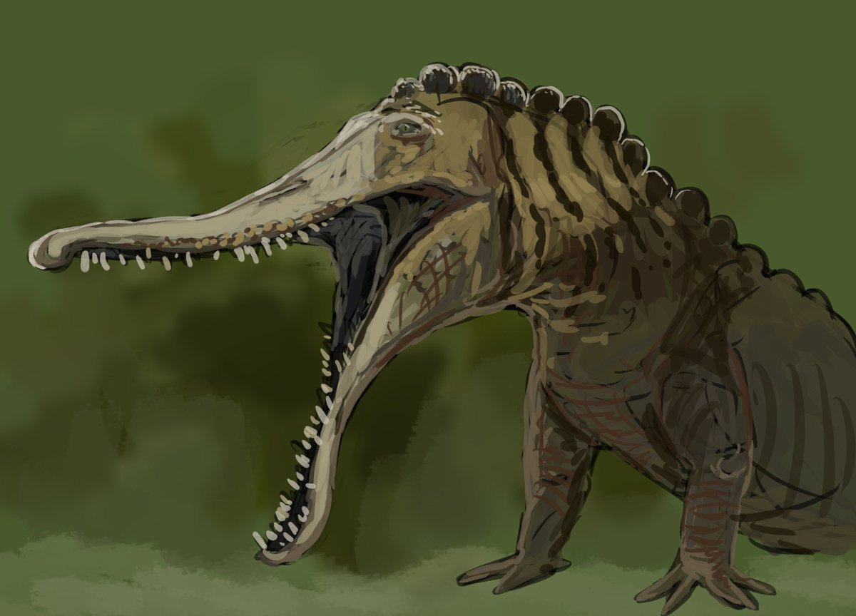 ArcheopterBill's tweet photo. 03.25. ~221 ma
A little phytosaur Arganarhinus whom I met on the way to camp
#paleoart #phytosaur #triassic #dinosaurs https://t.co/ljssvATdb2