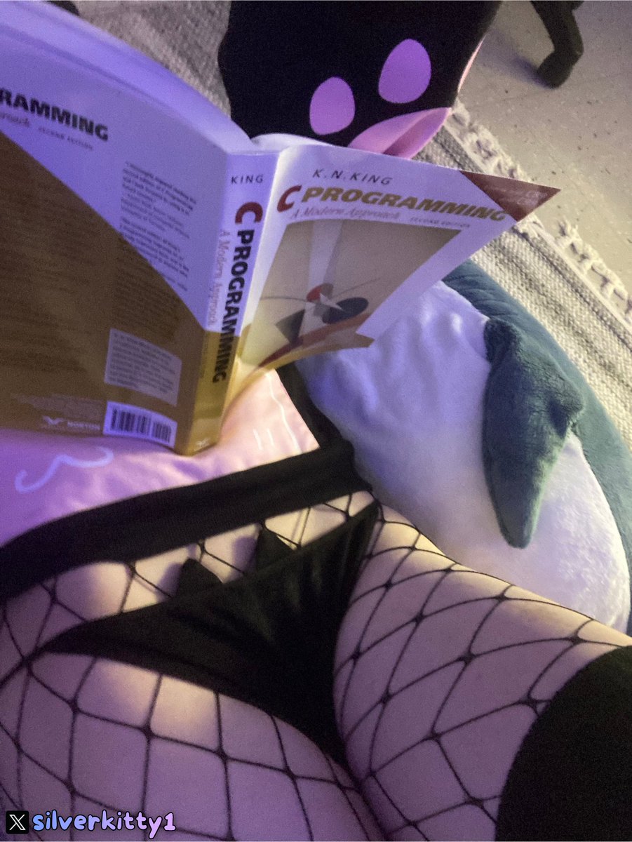 silverkitty🩵 tweet media