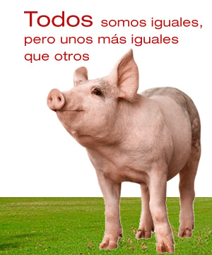 David 2197 tweet media