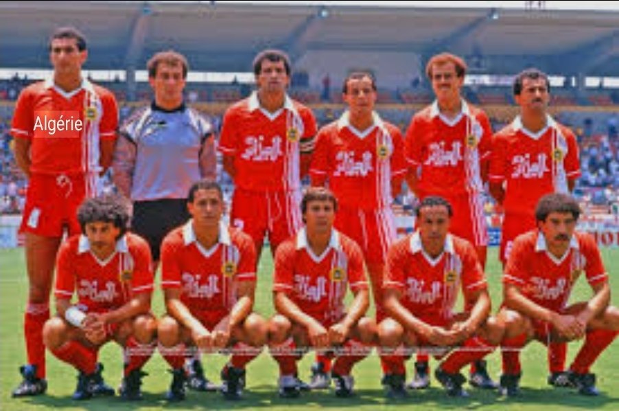 fennecs stars tweet media