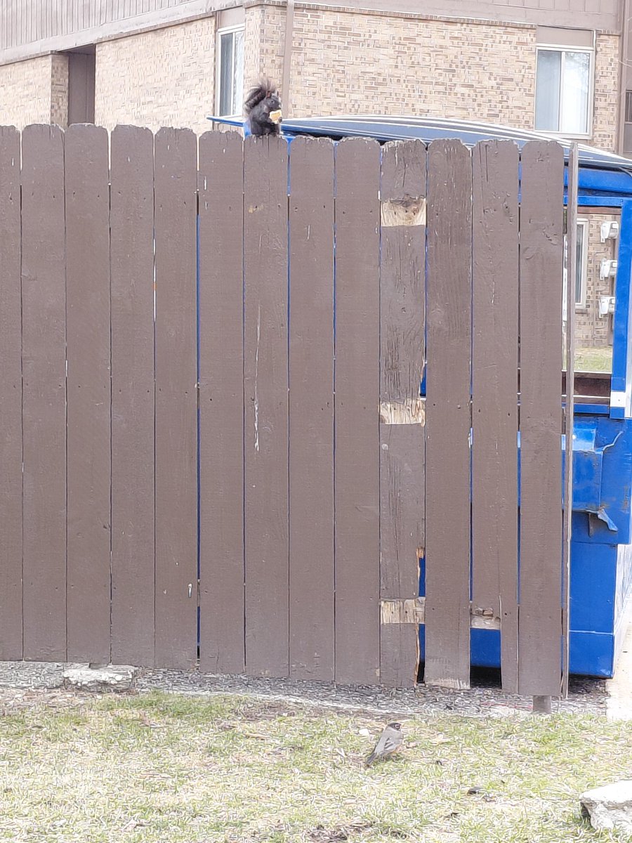 max (=ↀωↀ=) ⚧️ tweet media