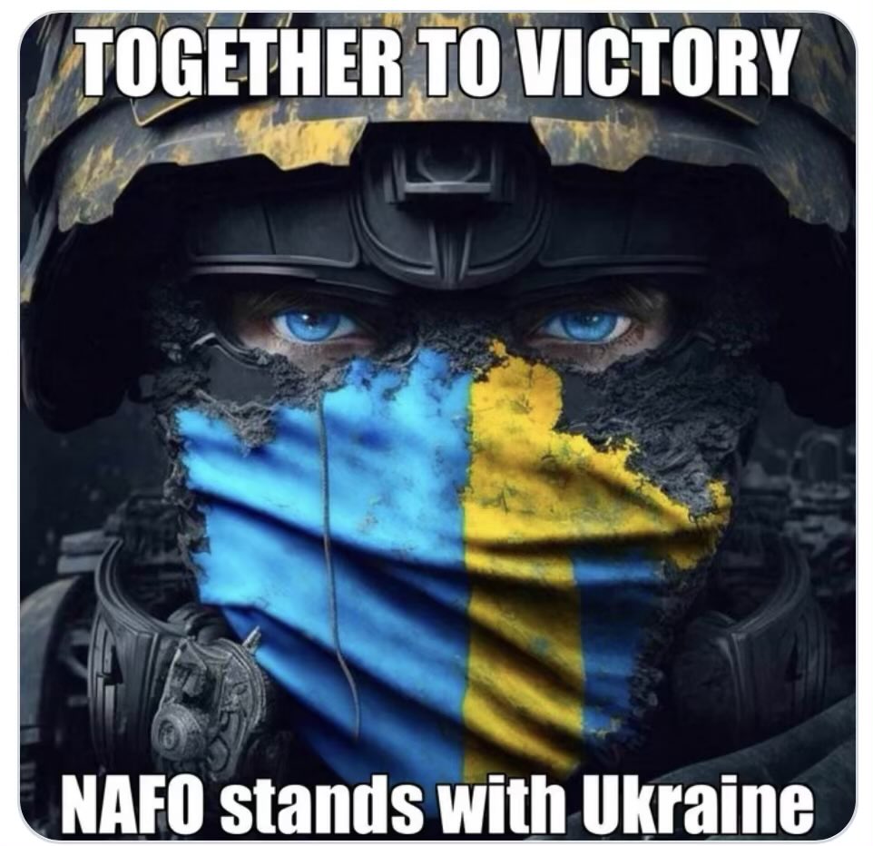 Sue Stroud NAFO 🧡🇨🇦🇺🇦💛💙🌻🐦🧡 tweet media