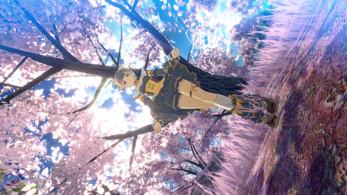 かる（カラメル） tweet media