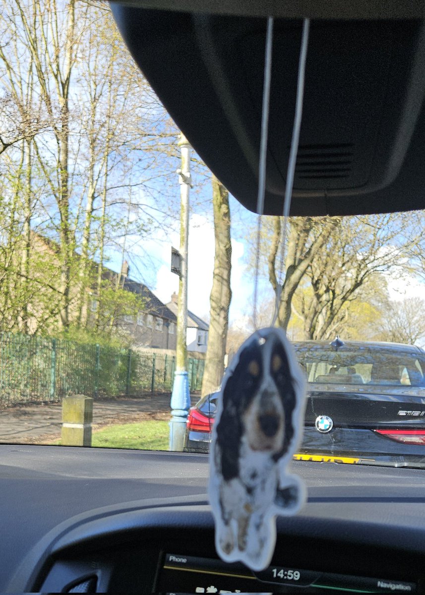Wherever I go Stan is watching  !!!  🤣🐾🐶🐕