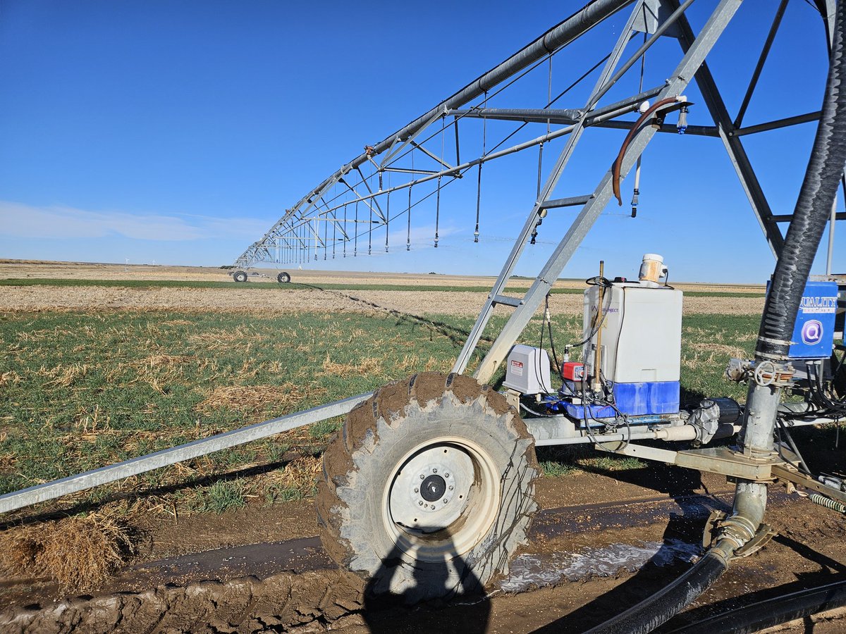 Joel Schneekloth tweet media