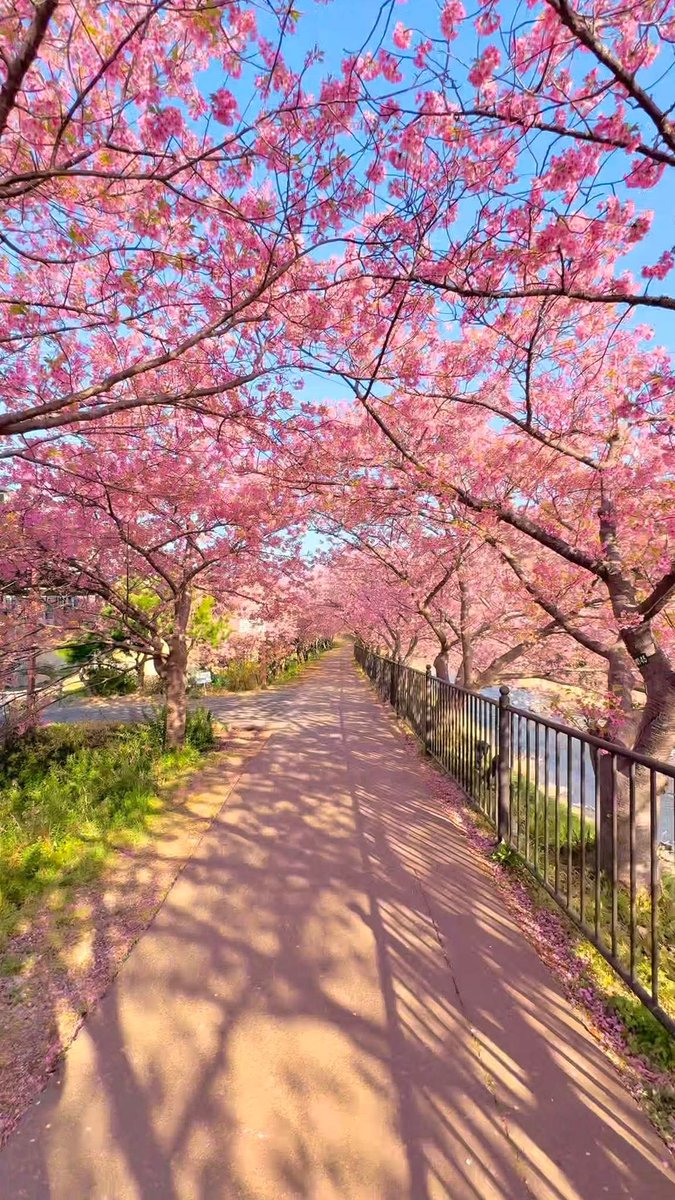 Aesthetics tweet media