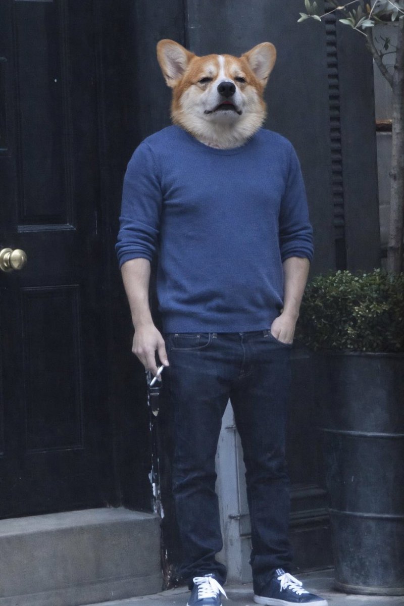 Sgt. Wingflapper tweet media