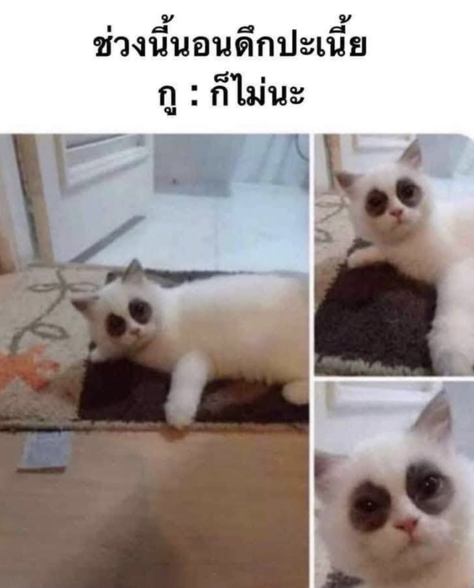 คนอยากเขียน. tweet media