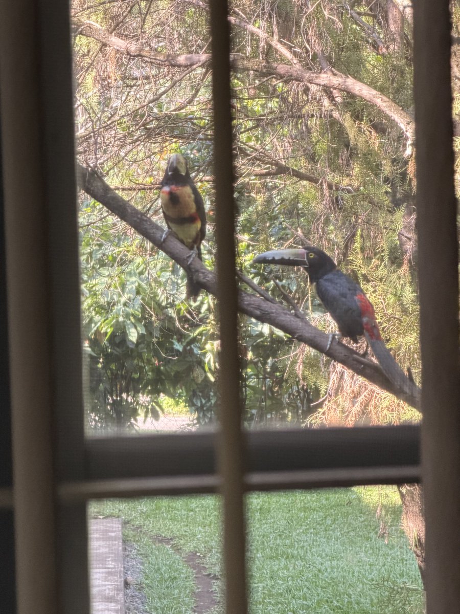 Michele aka The Divergent One tweet media