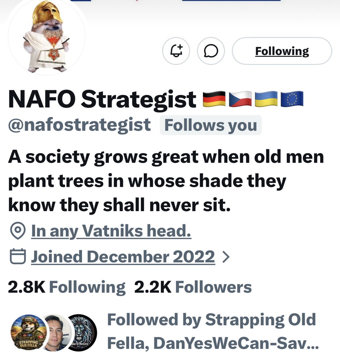 Turquoise Cat tweet media