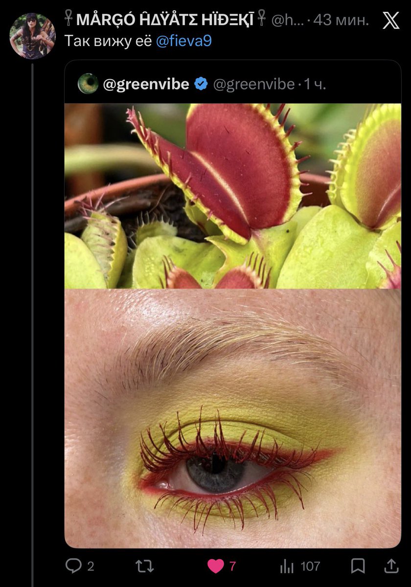 мессия анастасия 📞 tweet media