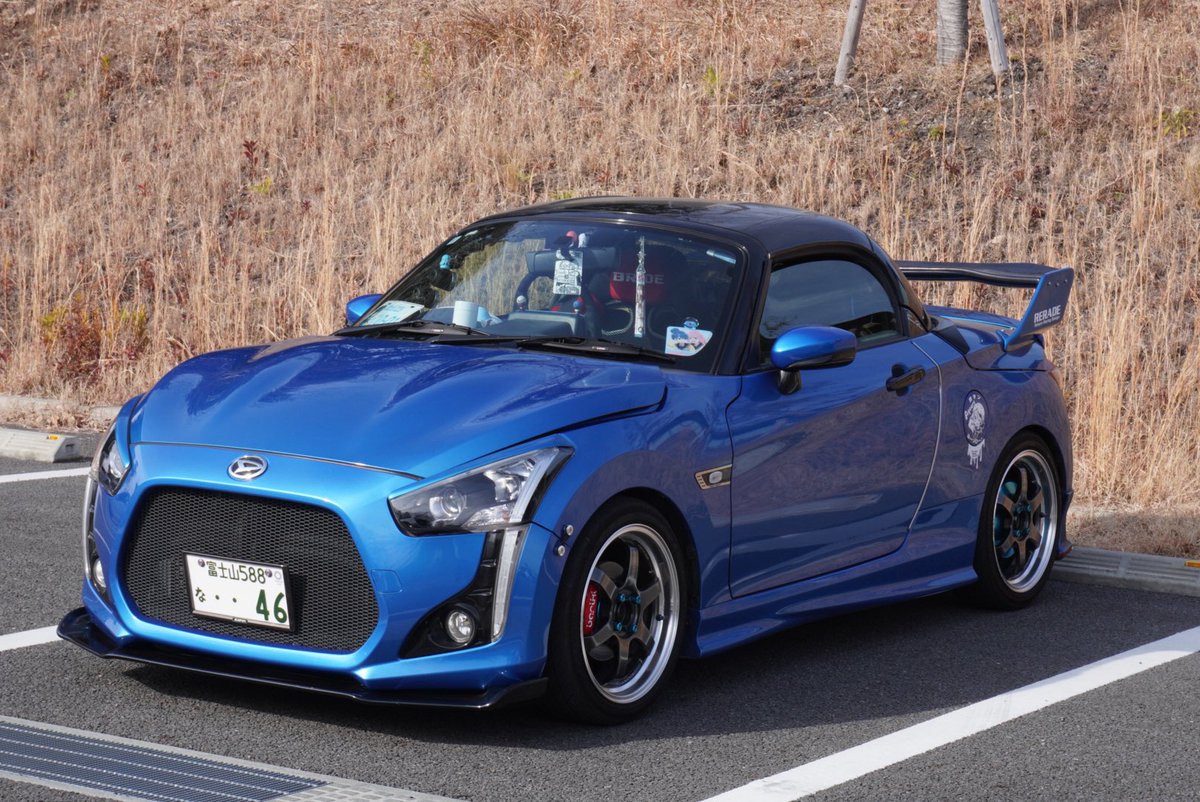 もふもふ tweet media