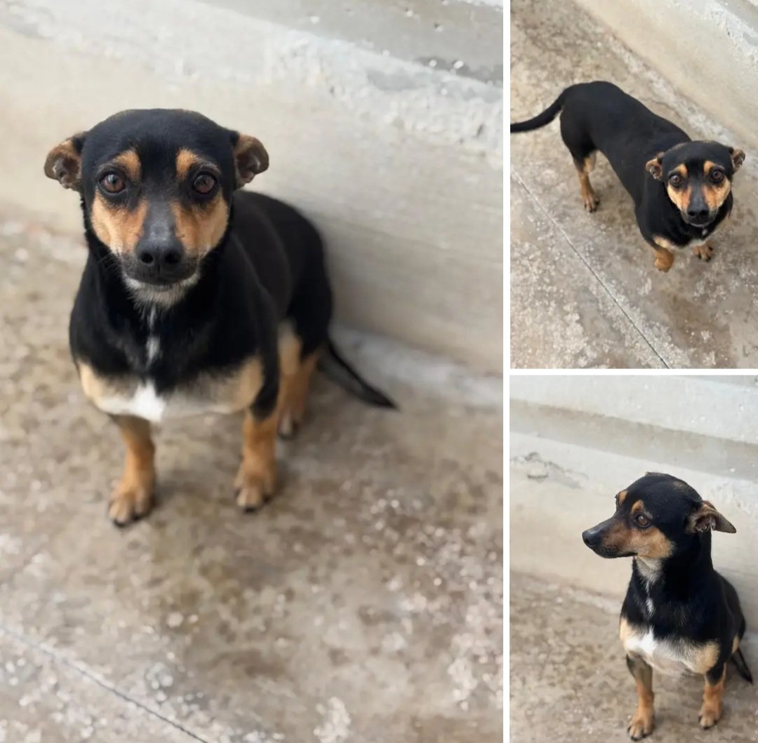 C1-QB8 | cubotta tweet media