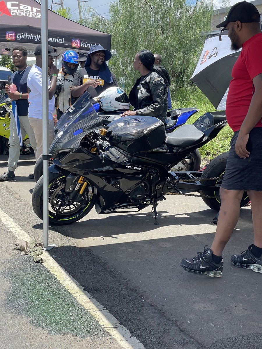 Fluffy Bunny 🐰 tweet media