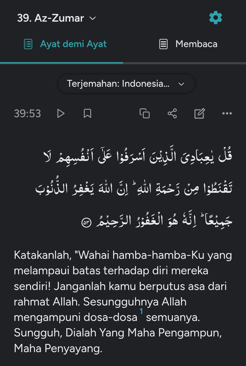 dir 🍉🇵🇸 tweet media