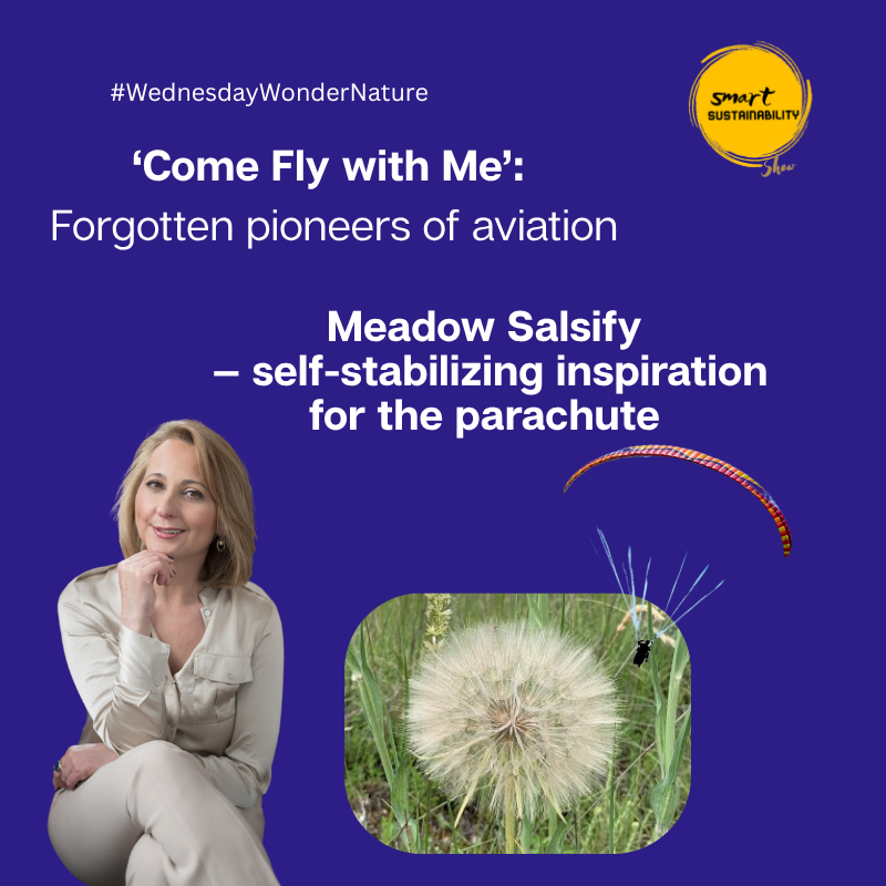 Nicolette DeVidar tweet media