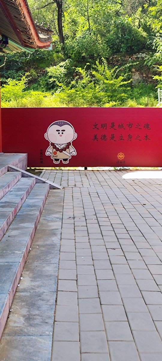 igor brkic tweet media