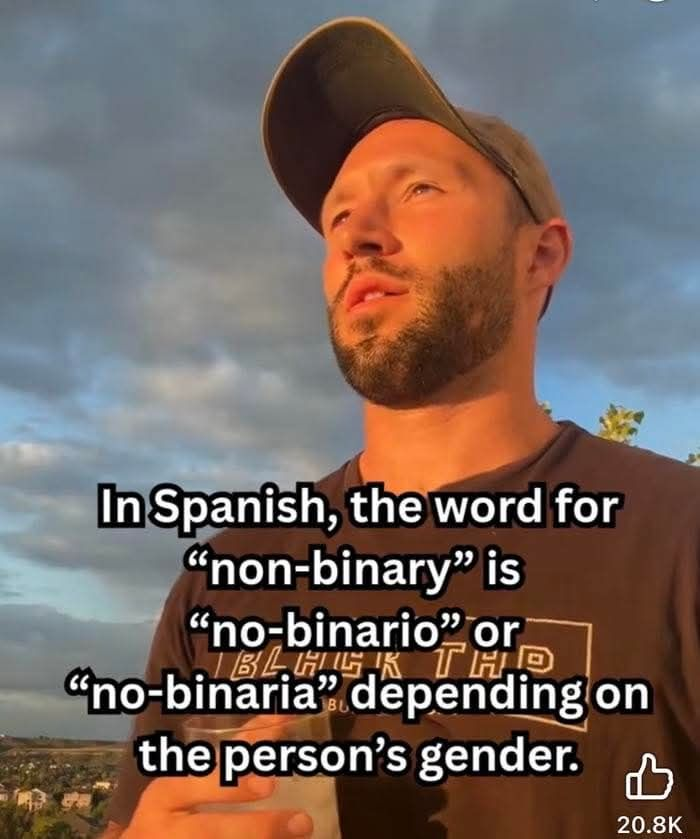 🇳🇱 Barbes tweet media