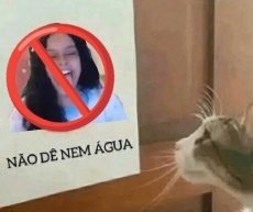 garchonk7 tweet media