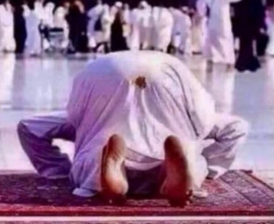 Tribul8 2come tweet media