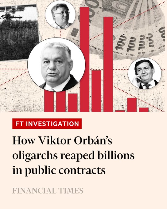 MeesPimpel tweet media