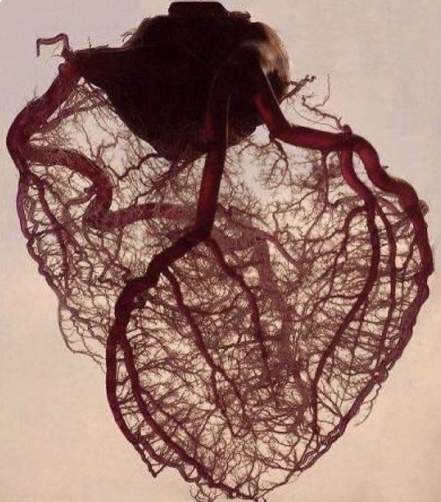 استثنيك tweet media