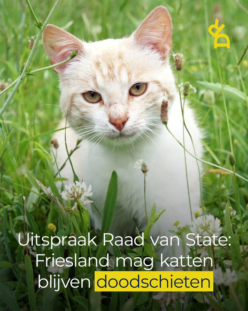 Dier&Recht tweet media