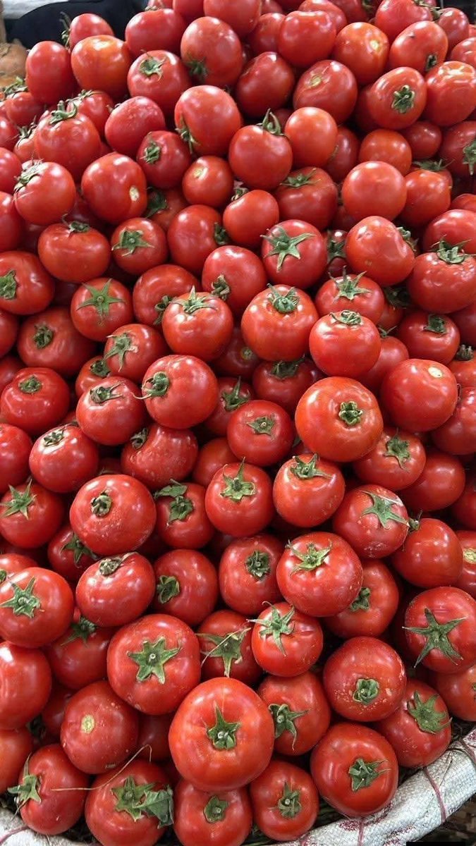 ☥3 49† 𓂀 tweet media