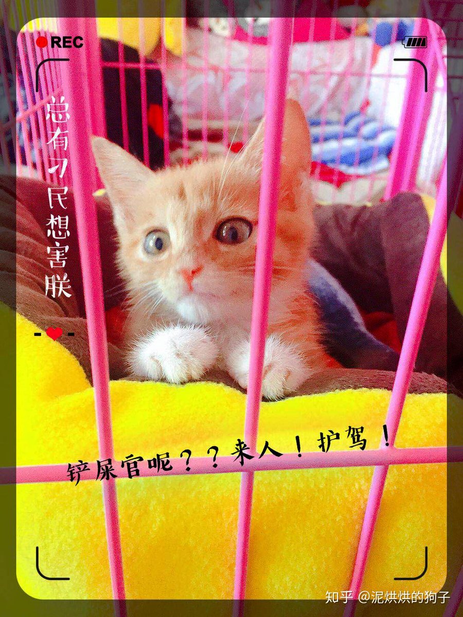 Striklend Kristina tweet media