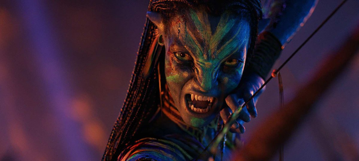 Alerta de Torrent tweet media