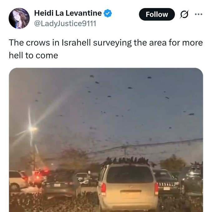 🐦‍⬛🐦‍⬛🐦‍⬛